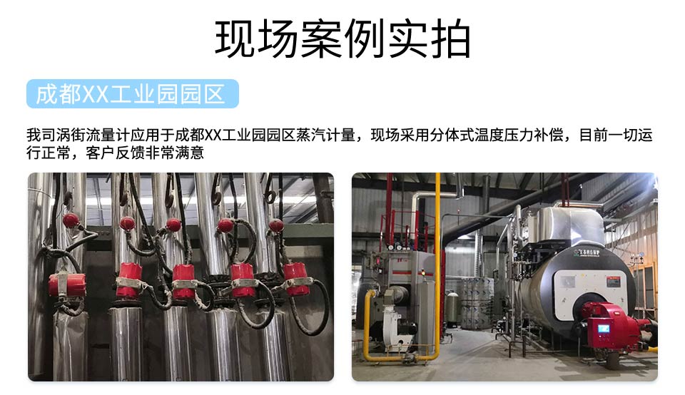 高精度涡街流量计-2026.1_10.jpg