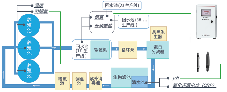 水产养殖溶解氧仪 水产养殖溶解氧仪
